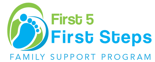 First Steps presented at the Zero to Three Conference